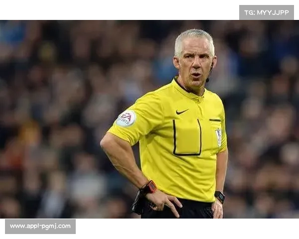 英超裁判执法评估，数据模型报告